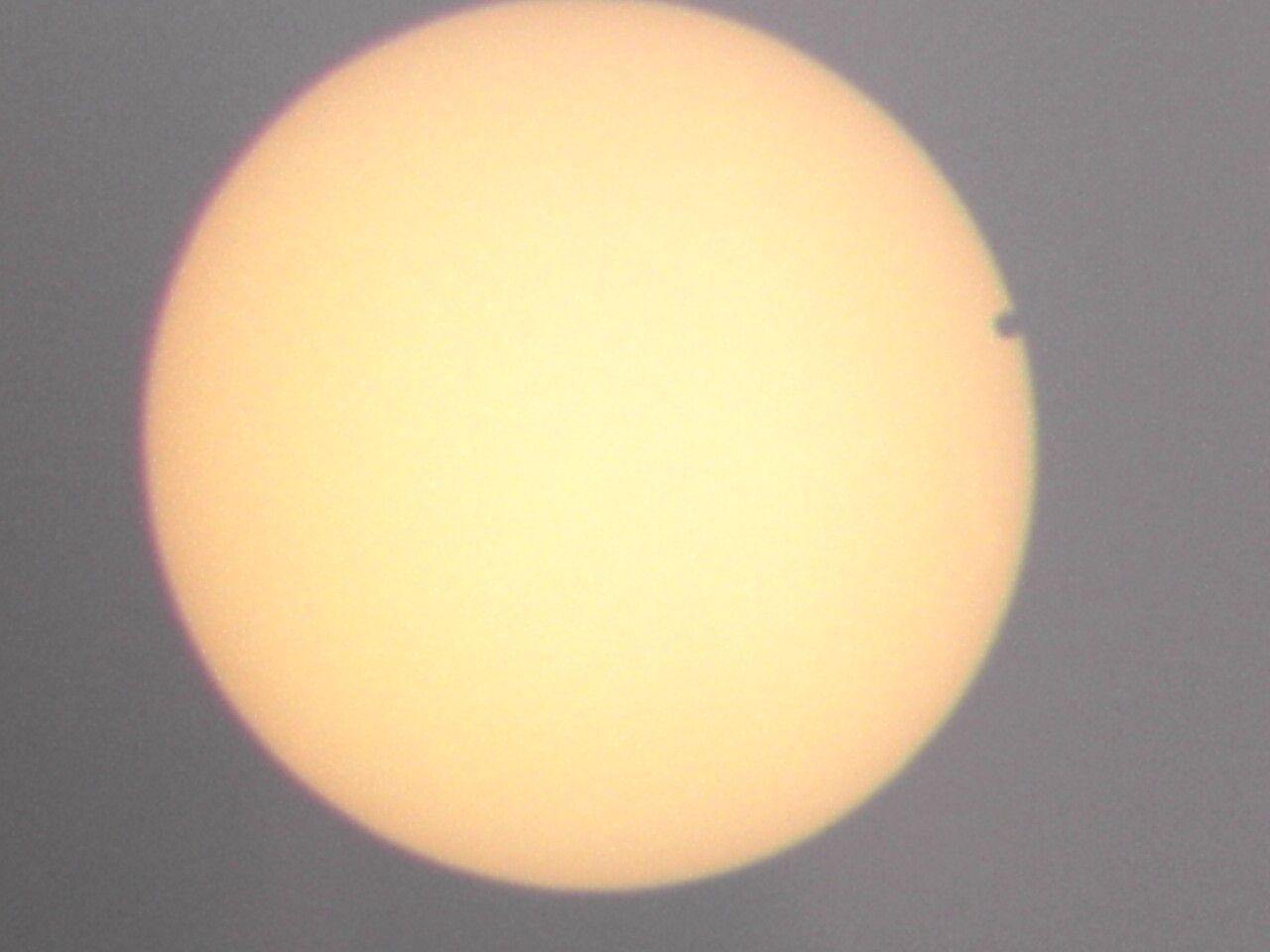 Image of Venus Transiting Sun, as seen from Pittsburgh 2004 June 8